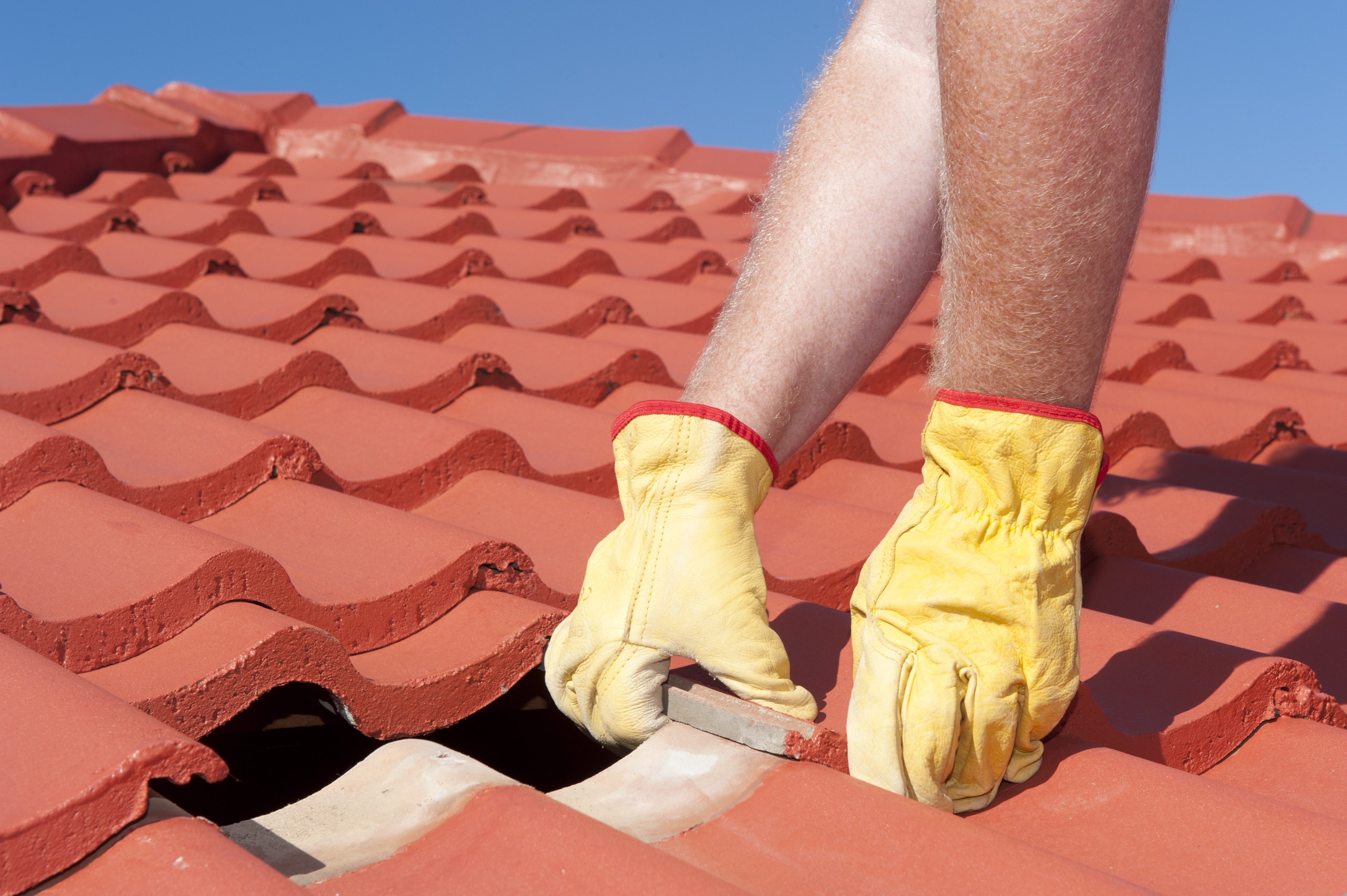 Green Energy Questions for Roofers in Grimes