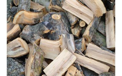 High-Quality Firewood Delivery Near Middletown, NJ Ensuring Uninterrupted Heating Solutions for Your Home